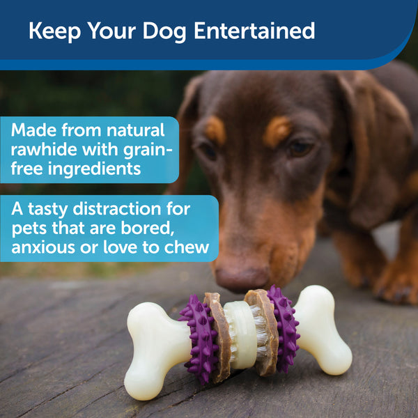 PetSafe Busy Buddy Chuckle Dog Toy – Petsense