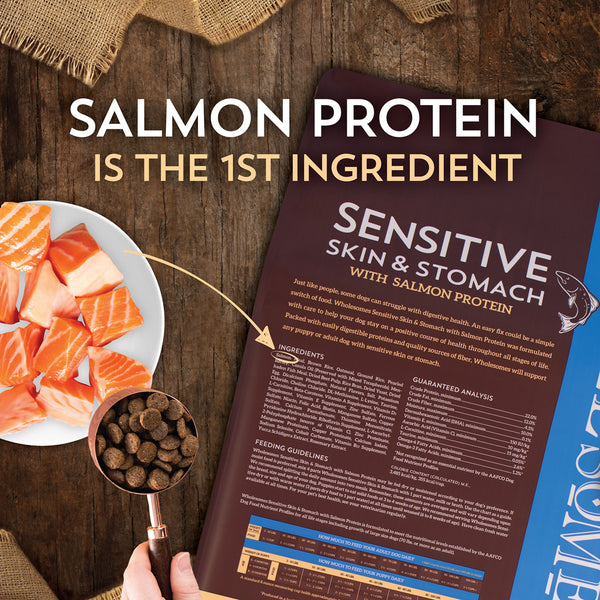 Wholesomes Sensitive Skin Stomach with Salmon Protein Dry Dog