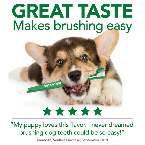 Vet's best hotsell dental gel toothpaste