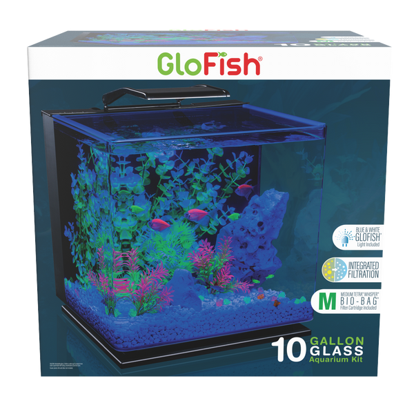 GloFish 10g LED Aquarium Kit – Petsense
