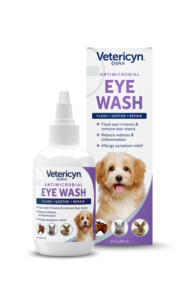 Allergy eye drops for fashion dogs