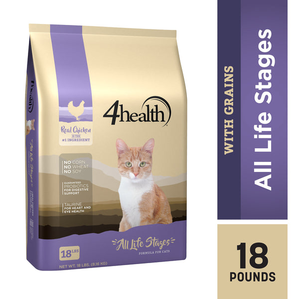 Best cat food 2024 for all life stages