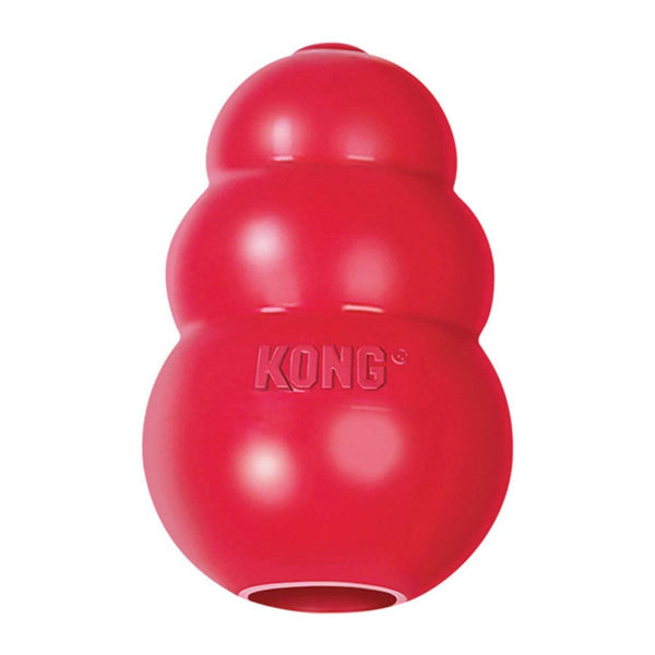 KONG RePlay Dog Treat Dispensing Dog Toy – Petsense