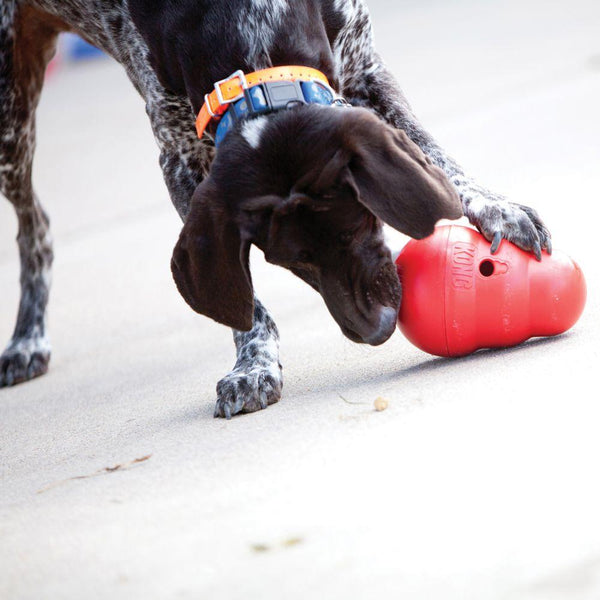 USA Made Dog Treat Wobbler by Kong Wobbler Treat Ball Large