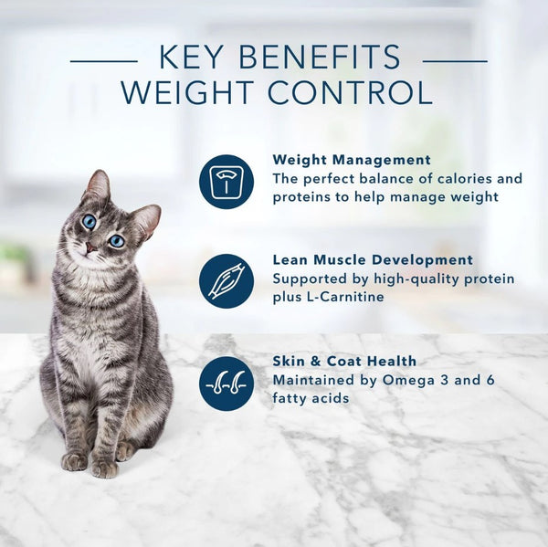 Blue weight management cat fashion food