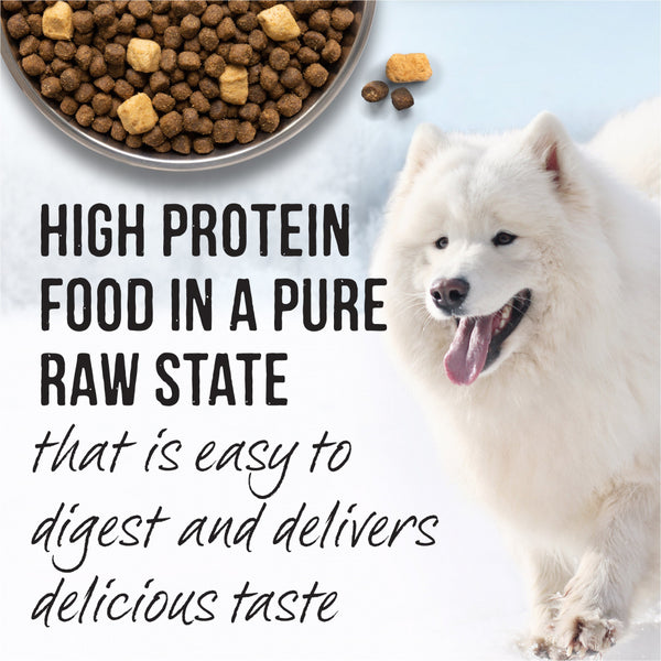 Best dog clearance food for samoyed