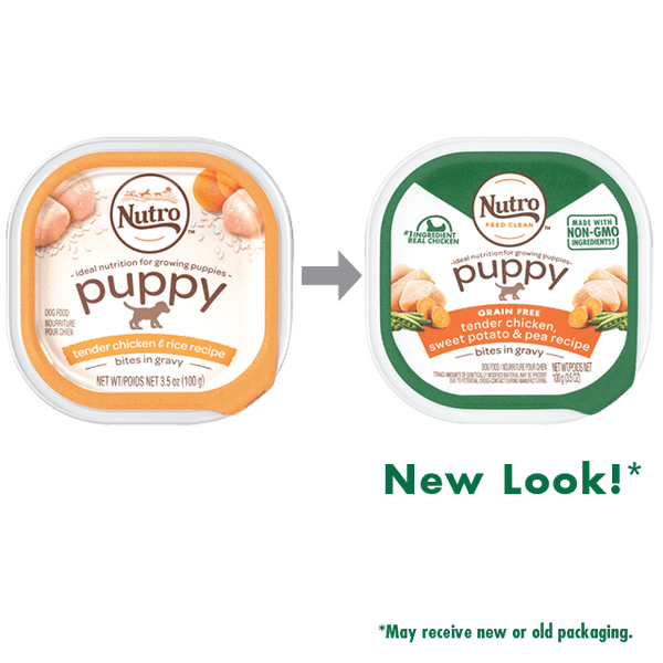 Nutro Puppy Tender Chicken Rice Recipe Cuts In Gravy Dog Food