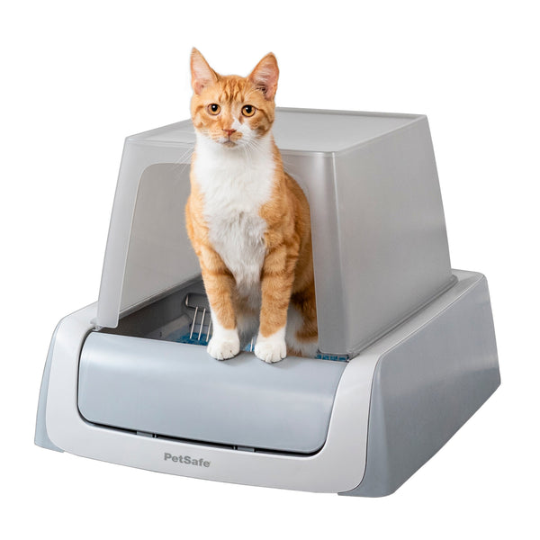 PetSafe Simply Clean Self-Cleaning Cat Litter Box - Automatic Litter B –  Petsense