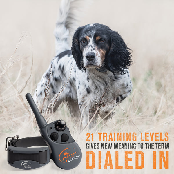 Sportdog 425 review sale