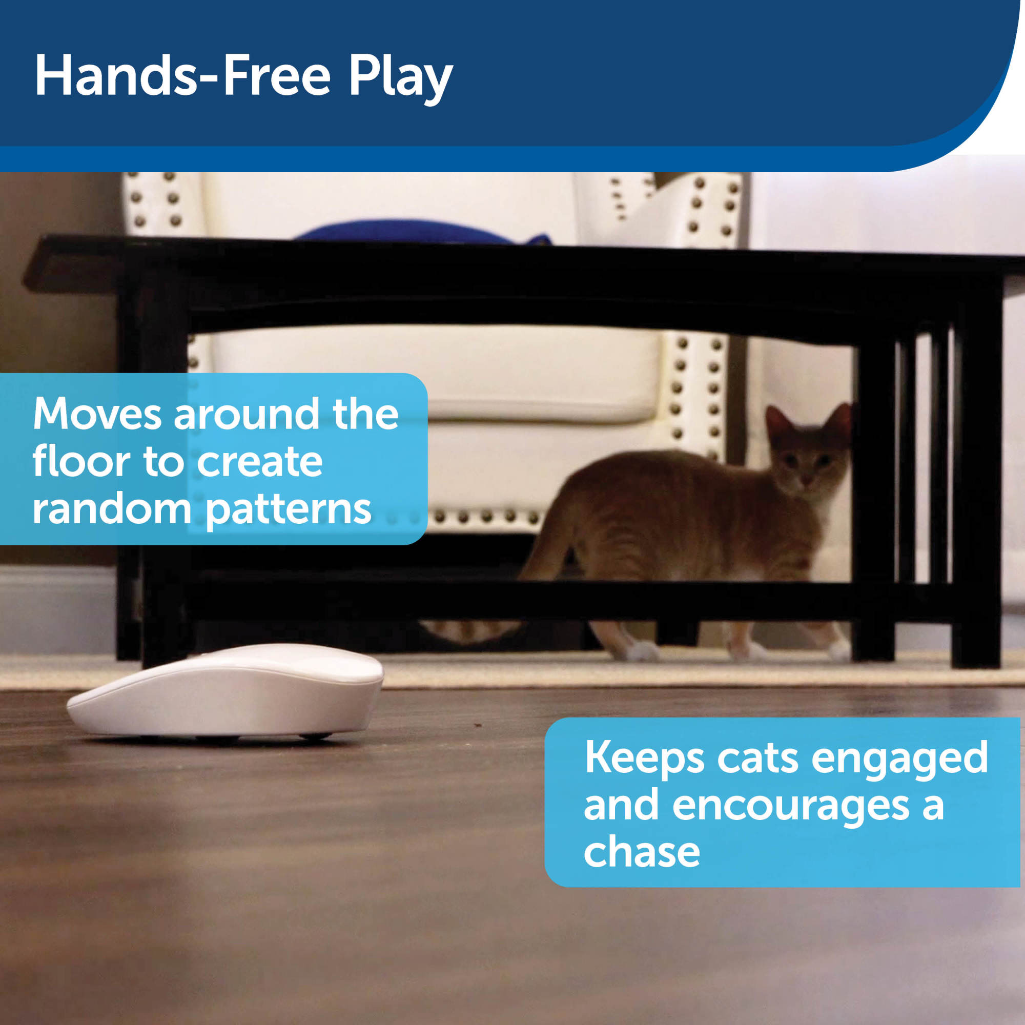 PetSafe's Bolt Interactive Laser Is a Top Electronic Moving Cat Toy