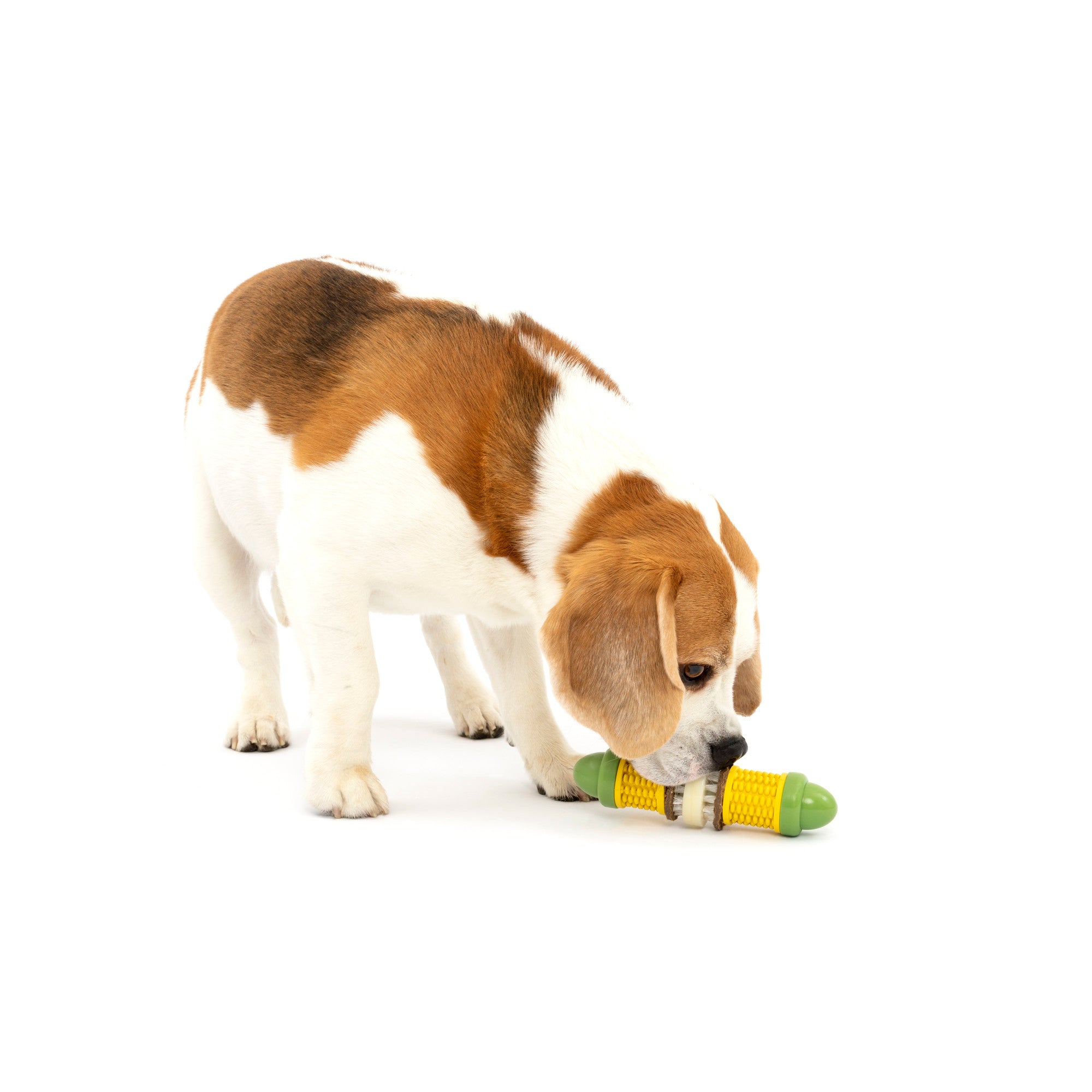 PetSafe® Busy Buddy® Cravin' Corncob Dog Toy – Petsense