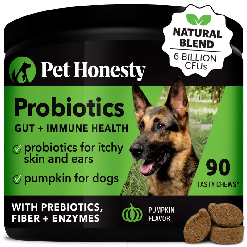 Pet Honesty Digestive Probiotics Pumpkin Soft Chew for Dogs