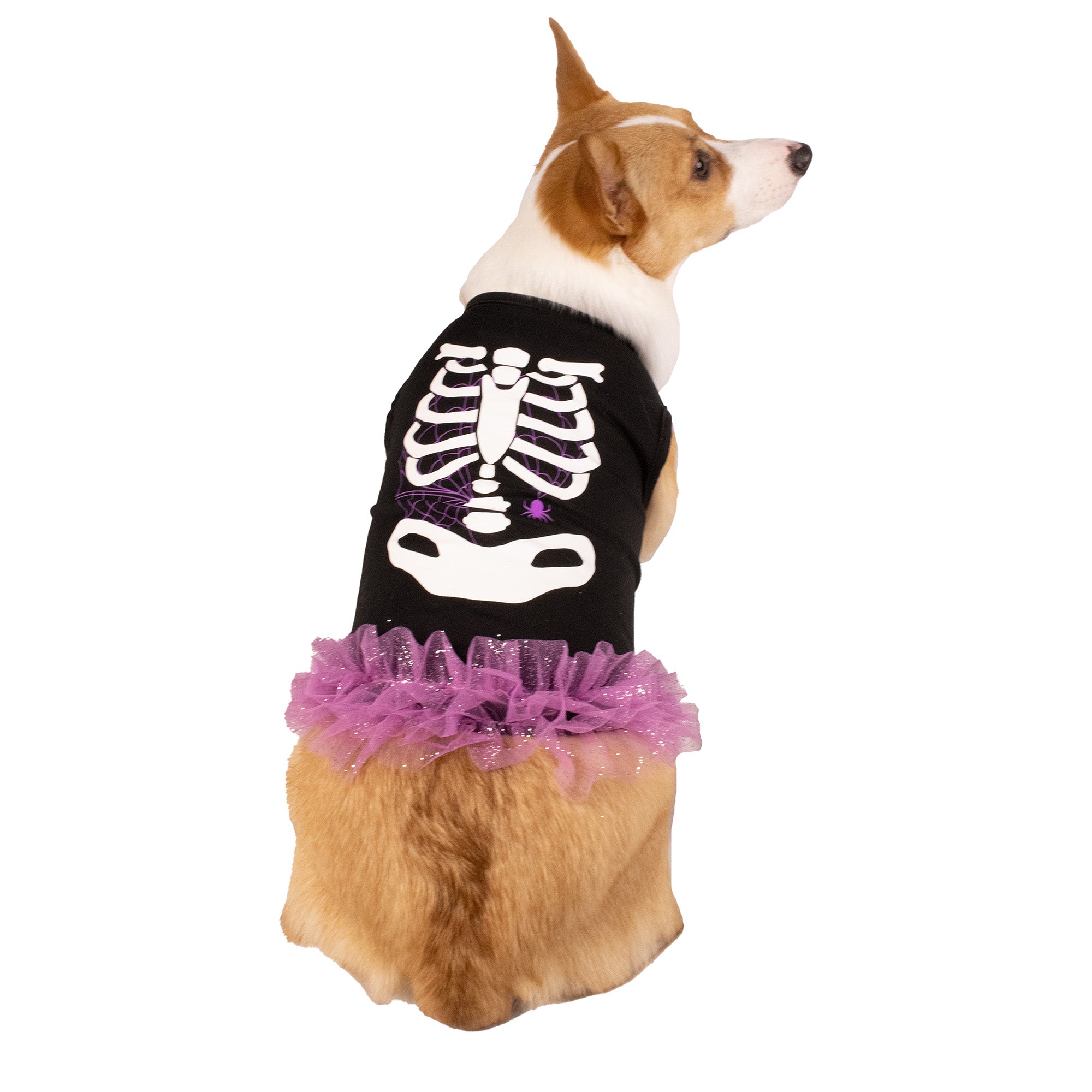 Skull Dog dress, Halloween Dog dress, dog clothes, dog apparel, dog costume, dog dresses, dog dress, clothes for dogs, costume for dogs outlet