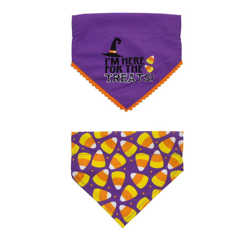 Halloween Treats Pet Bandana 2pk