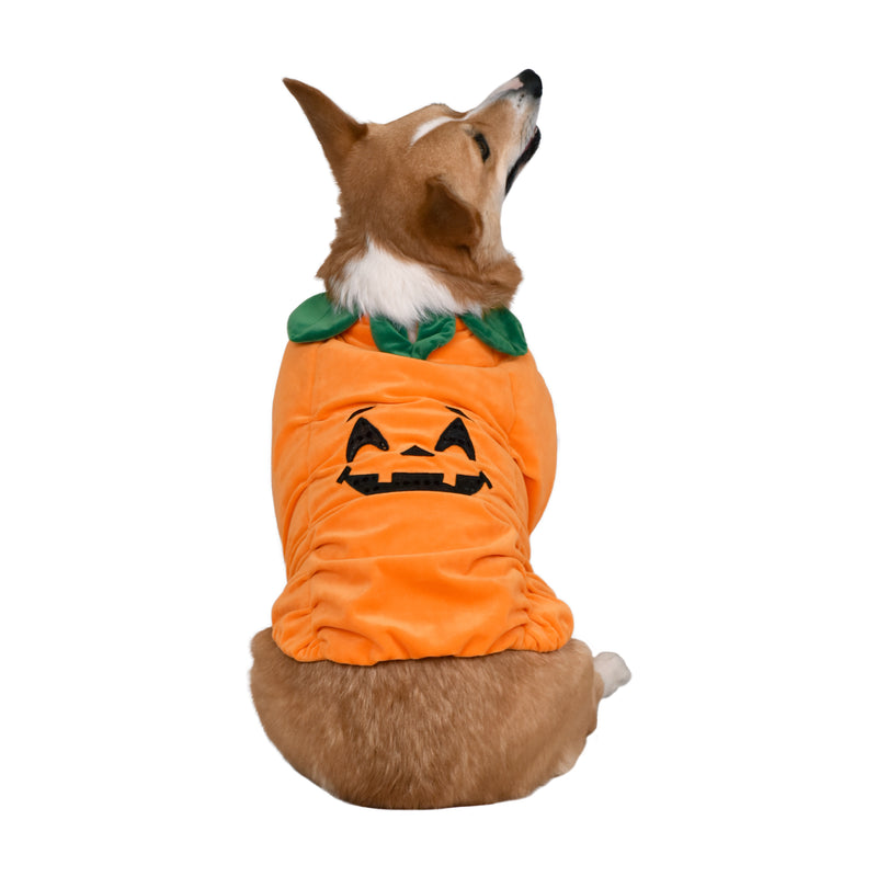 Pumpkin Pet Halloween Costume