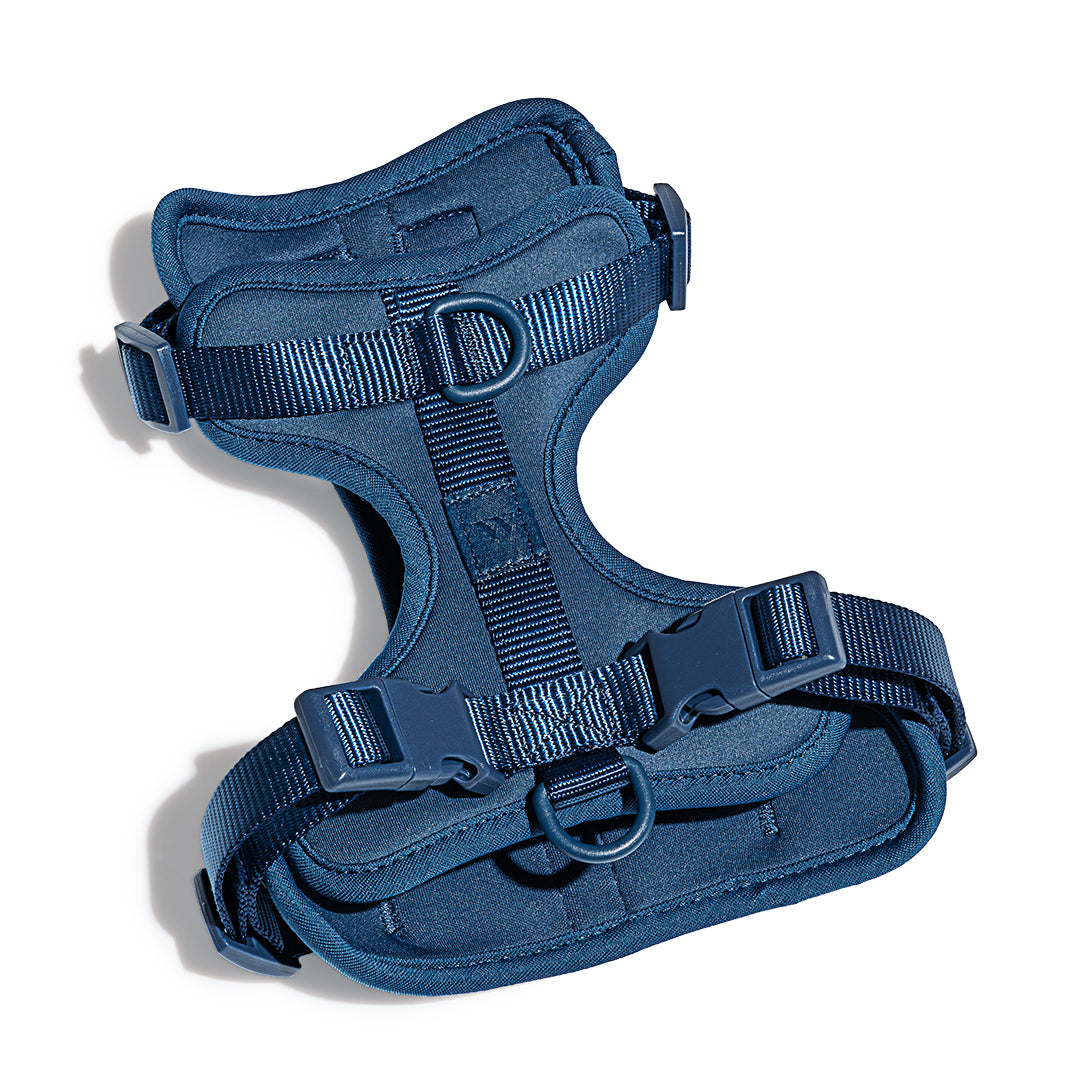 Petsense dog harness best sale