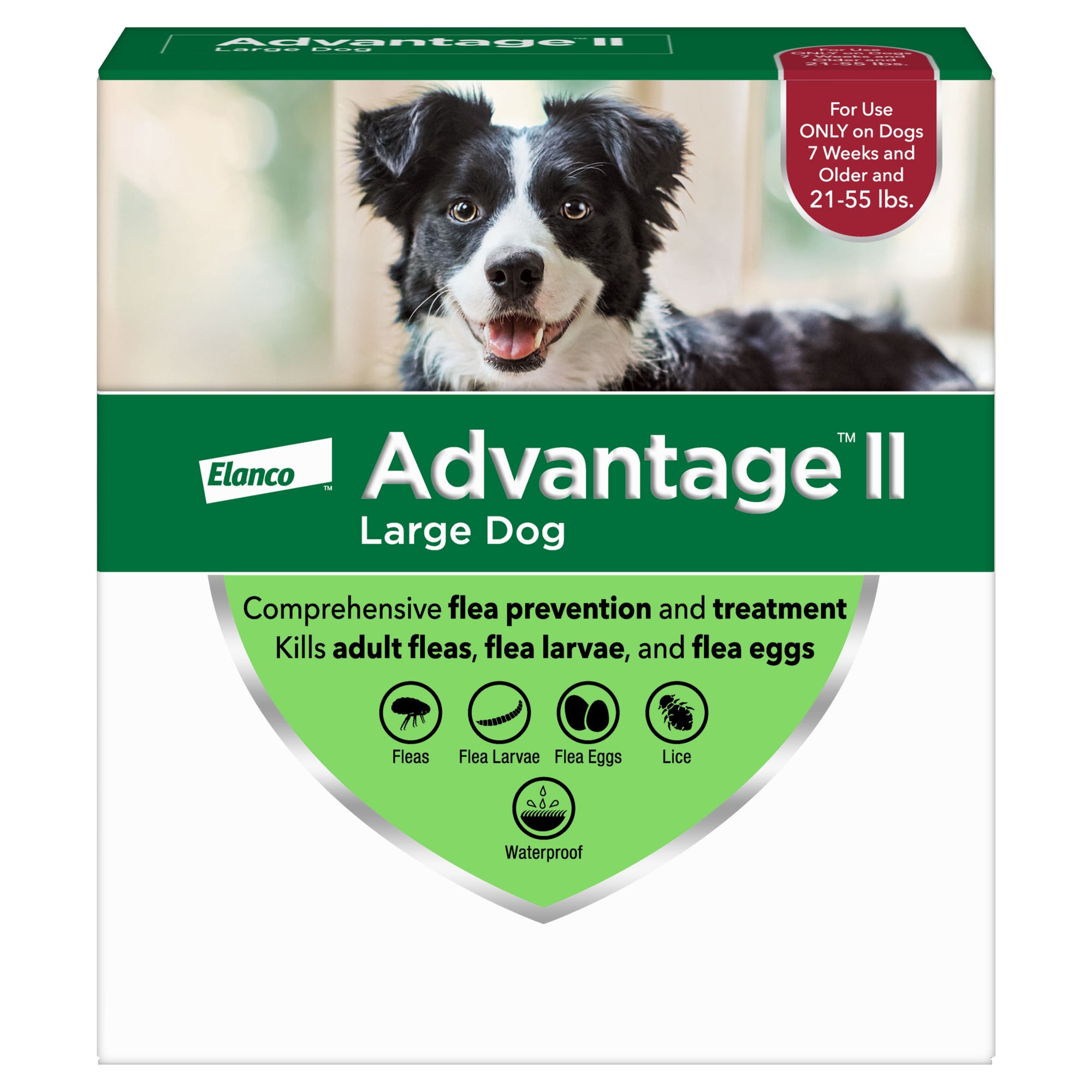 Buy advantage hotsell for dogs online