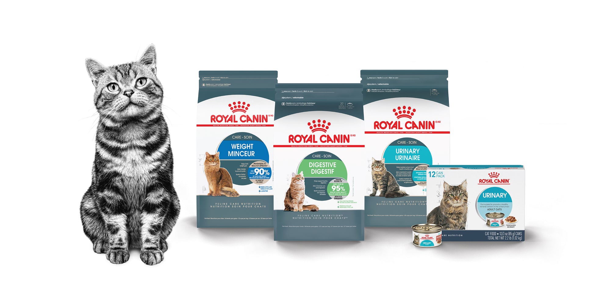 Petsense cat sale food