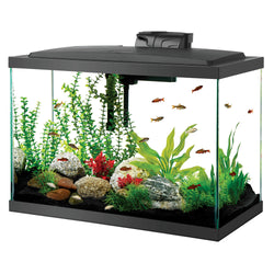 Lee's Aquarium BettaHex Fish Tank, Small – Petsense