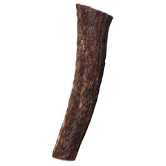 Kong wild 2025 antler whole