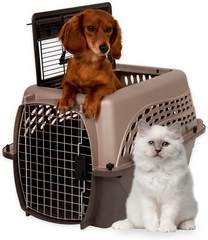 Petmate top load carrier best sale