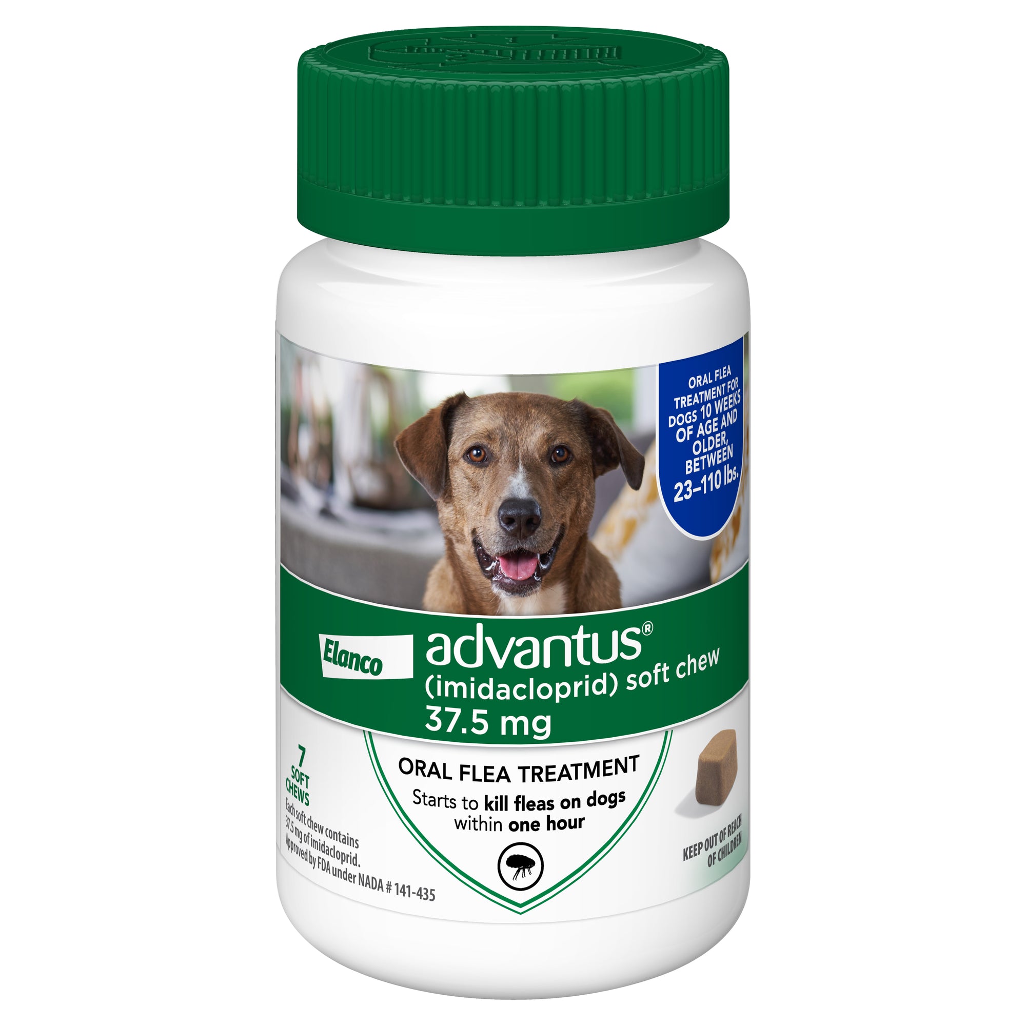 Chewable dog shop flea medicine