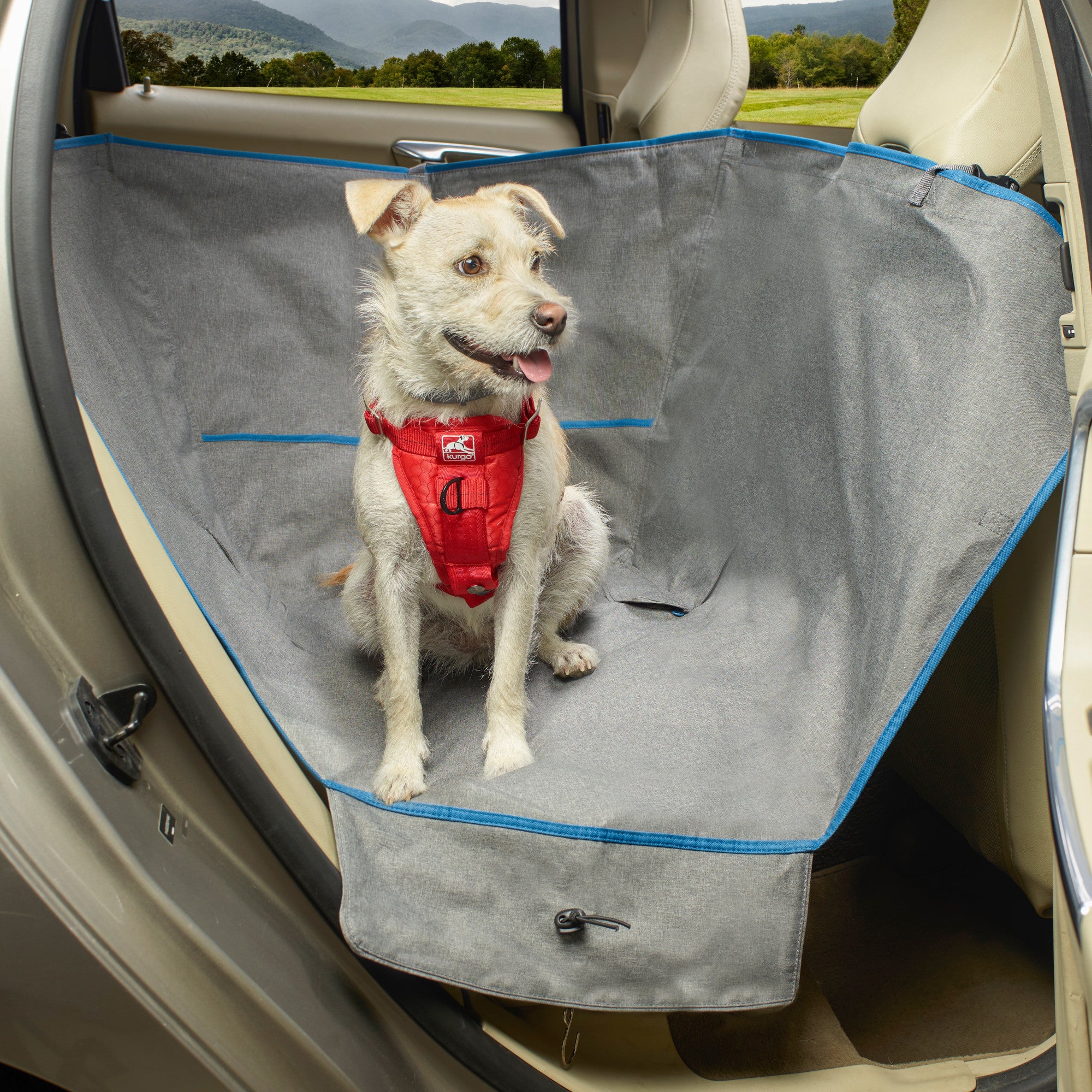 Dog seat covers for cars 