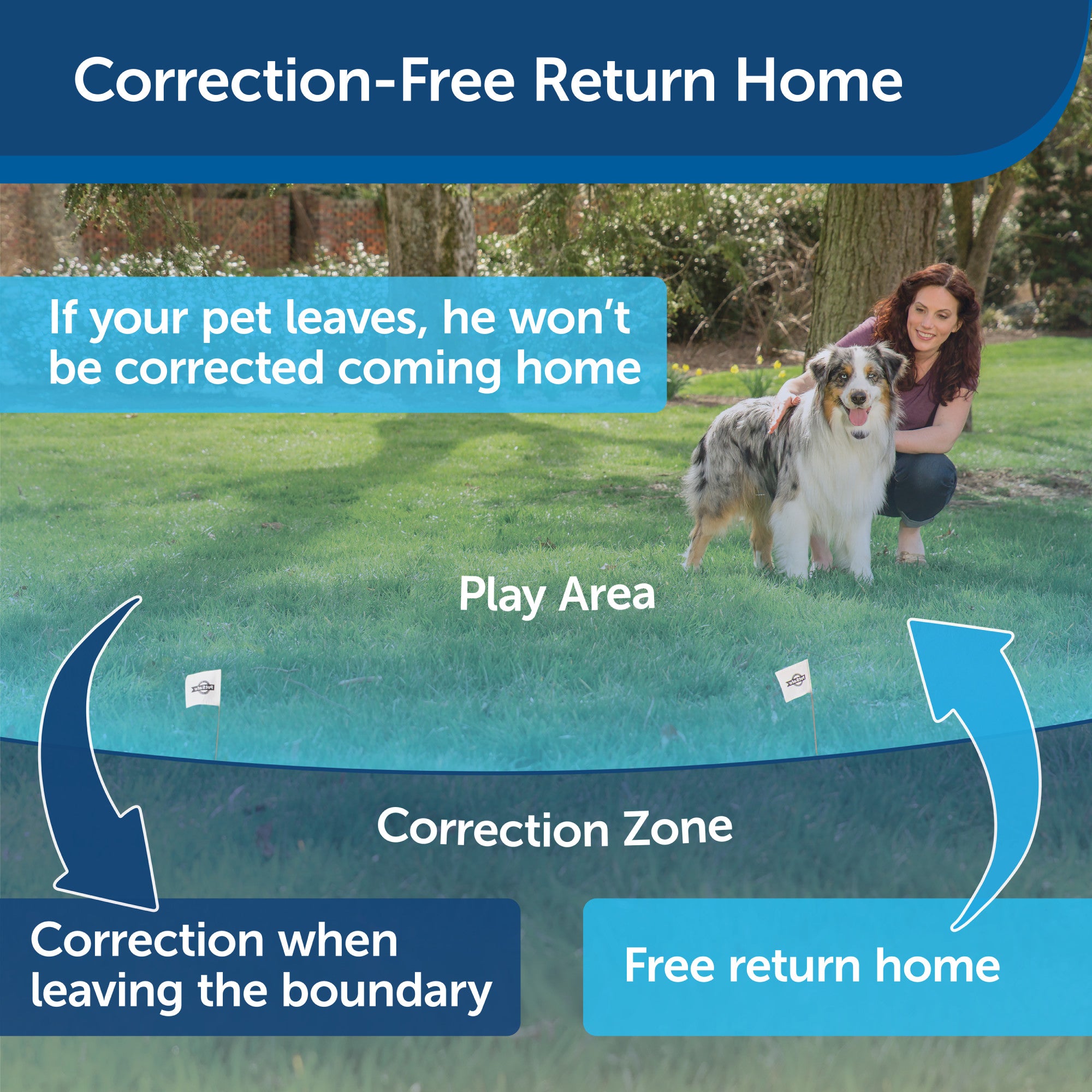 Troubleshoot PetSafe® Wireless Fence Systems - Pet escaped the boundary 