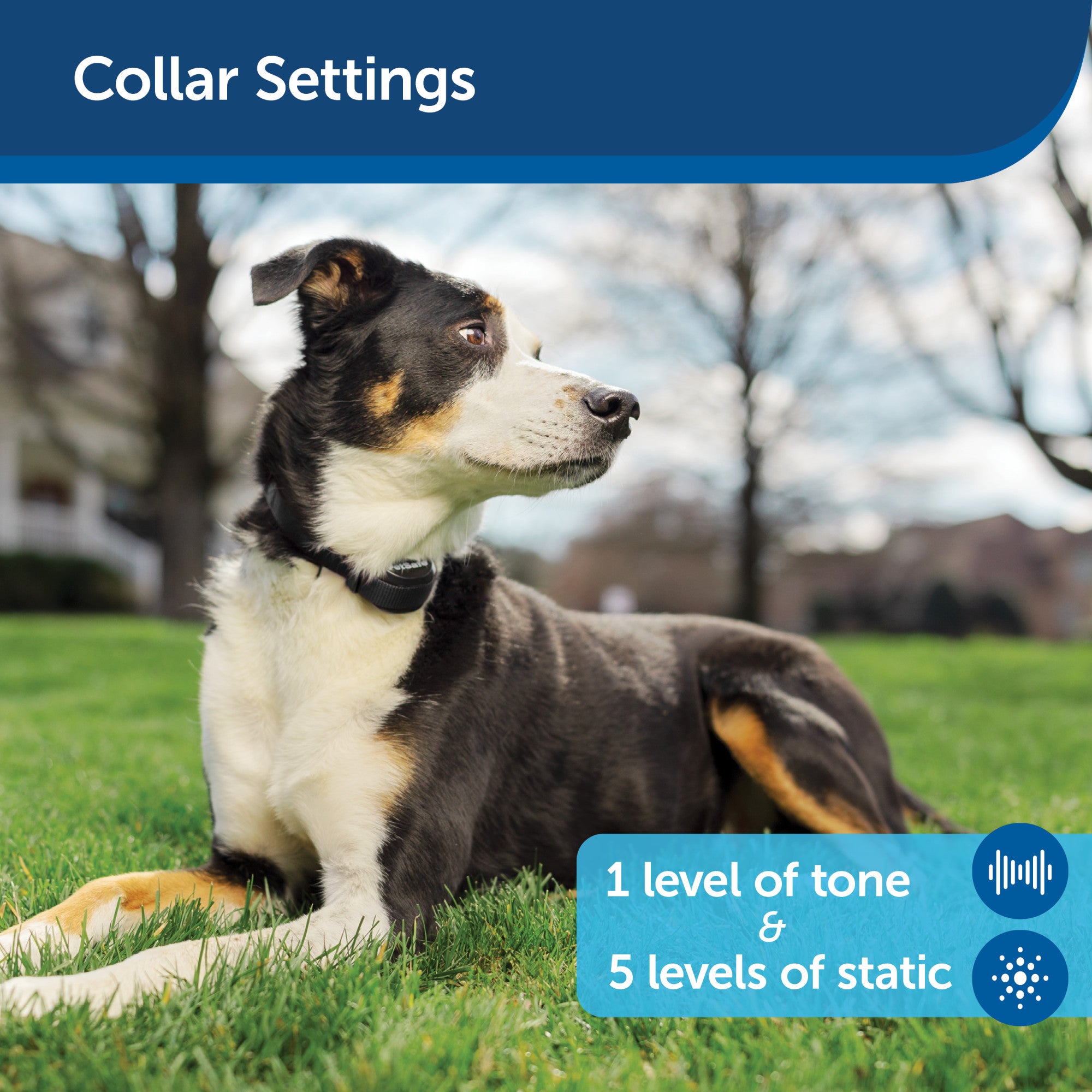 PetSafe Wireless Pet Containment System Receiver Collar Only for Dogs –  Petsense